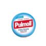 PULMOLL PASTILLES EXTRA FORT 45 G